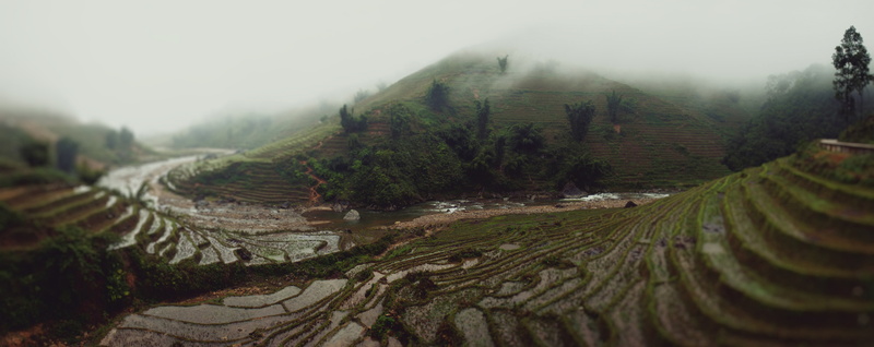 crop, environment, fog, vietnam, no people, mountain, river, Others, sapa, winter, plantation, scenics - nature, plant, land, 8K, terrace, farm, outdoors