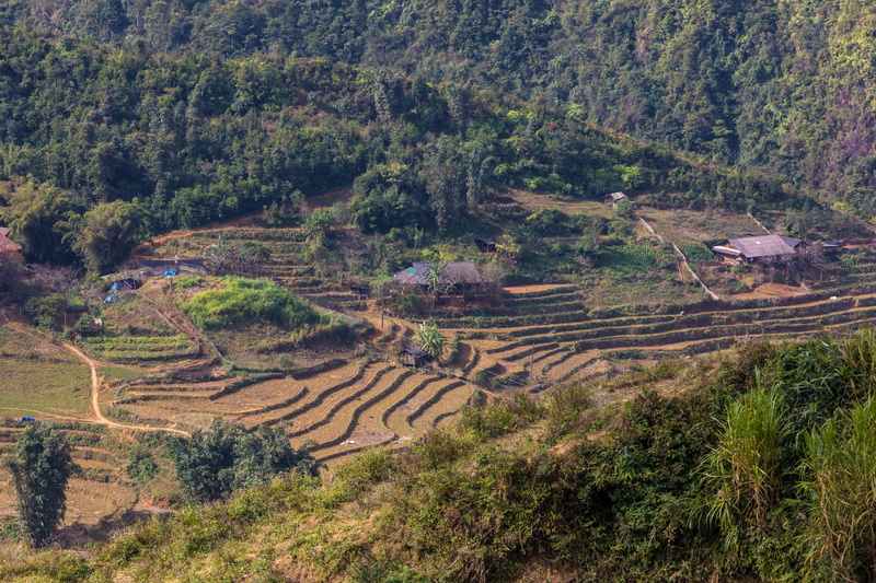 day, rest, hilly, hill, high angle view, grass, travel, panorama, trip, no people, agriculture, mountains, rice fields, landscape, rural scene, terrace