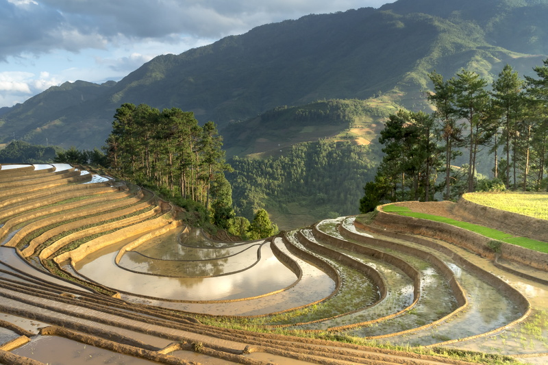beauty in nature, no people, tranquil scene, cloud - sky, mountain, full color, agriculture, terraced field, day, curve, tranquility, field, scenics - nature