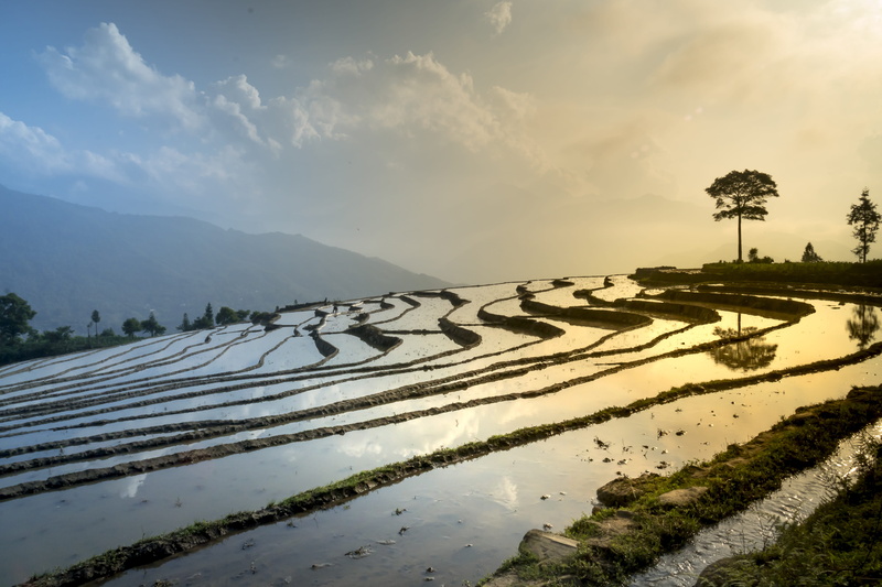agriculture, travel, 5K, mountain, plant, terraced field, farm, vietnam, natural, land, eco, sky, tranquility, valley, asia, no people, terraces