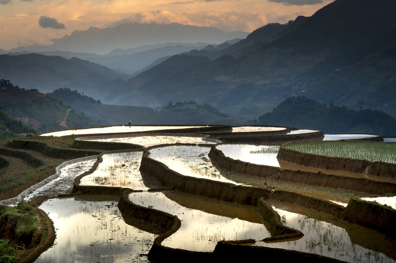 rice, mountain, environment, cloud - sky, transplanted rice, scenics - nature, architecture, no people, river, outdoors, the valley, farm, blind stretch comb