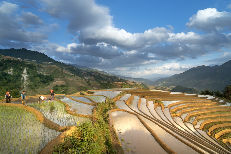 silk, pour water, vietnam, rural scene, scenics - nature, water, farm, landscape, blind stretch comb, environment, field, beauty in nature, day, farmer