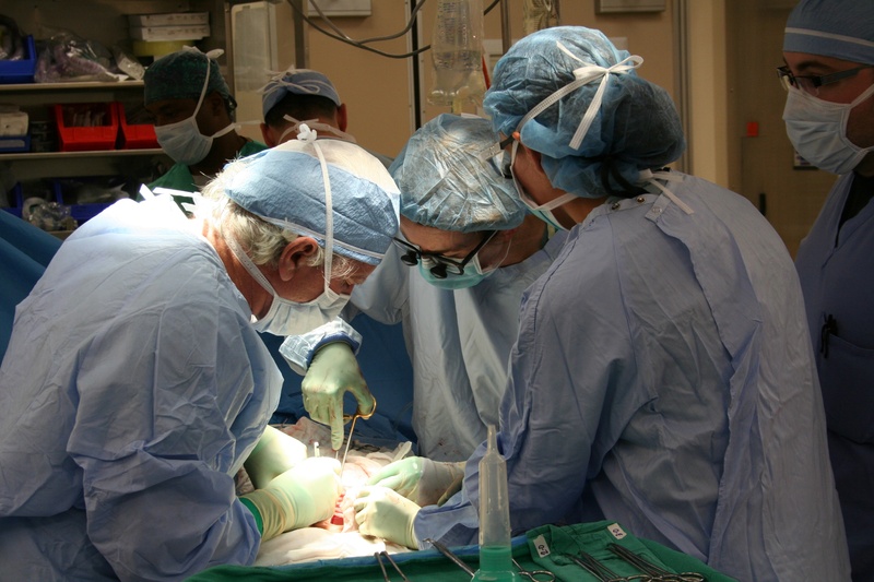 expertise, scrubs, inside, preparation, surgery, hospital, operating gown, surgical mask, occupation, healthcare worker, doctor, concentration, transplantation