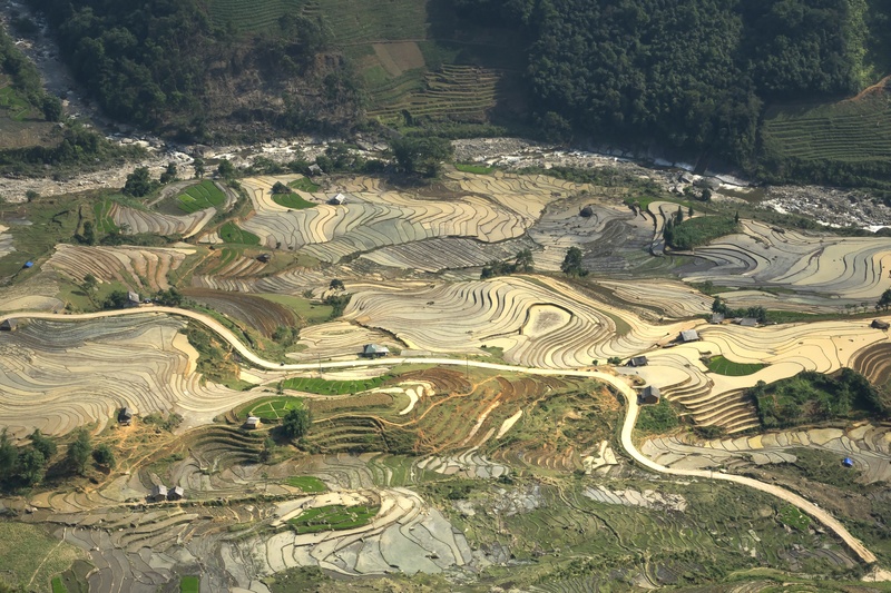 blind stretch comb, farm, beauty in nature, the valley, travel, plant, terraced field, land, landscape, pattern, asia, tree, farmer, terraces, full color