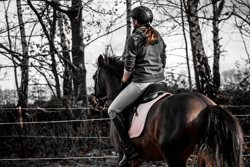 thoroughbred Horse, leisure activity, animal, nature, livestock, trees, 2K, saddle, tree, trot, vertebrate, women, outdoors, woman, animal wildlife, warm clothing