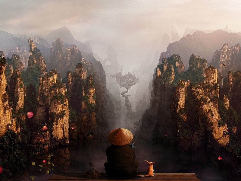 meditation, the gray sky, monk, gorge, abyss, fog, straw hat, 1080P, Fenech, traveler, tree, rocks, from the back