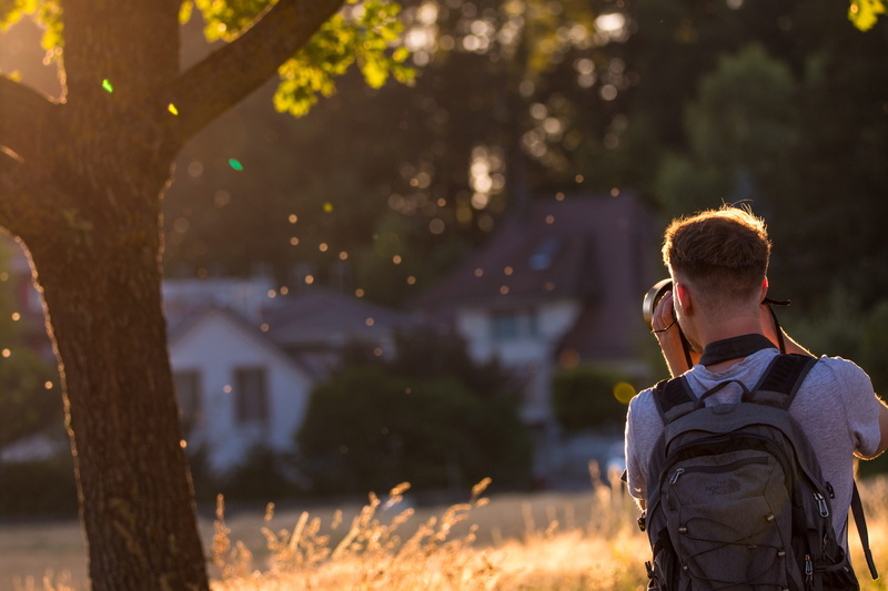 casual clothing, evening, mosquitoes, from the rear, evening light, technology, rear view, males, plant, professional, tree, landscape, light, homes, silent
