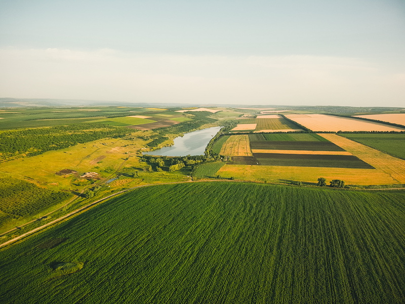 plantation, moldova, outdoors, landscape, scenics - nature, plant, phone, farm, sky, crop, view, beauty in nature, lake, rural scene, growth, dji, environment