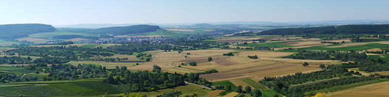 outdoors, tree, view from wunnenstein, plant, swiss francs, baden württemberg, summer, tranquility, wheat field, landscape, rural, food, grain, distant view