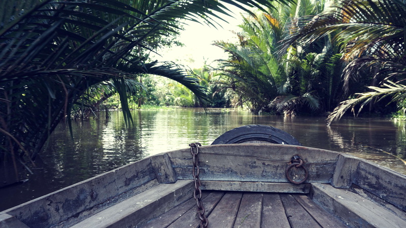 palm tree, tranquil scene, water, tropical climate, plant, relaxation, tranquility, nautical vessel, palm, growth, transportation, nature, delta, mekong