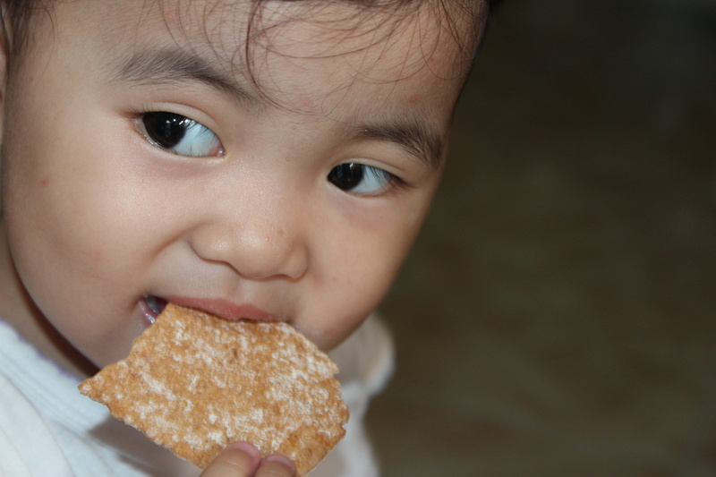 cute baby, child, looking at camera, little, toddler, sweet food, portrait, eating, one person, food and drink, food, kid, headshot, focus on foreground