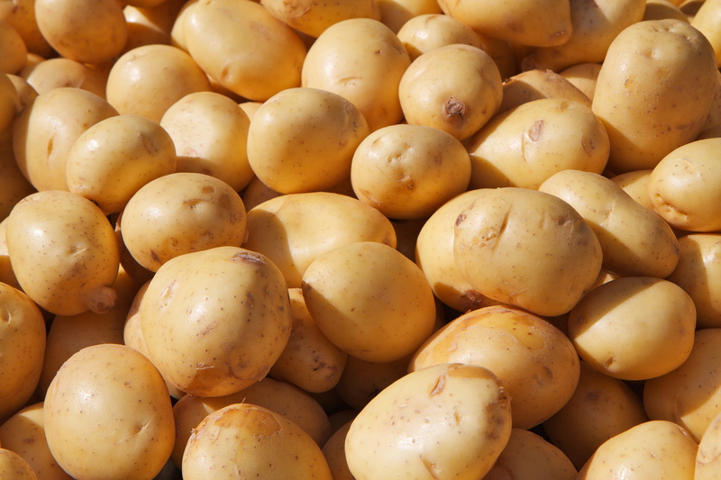 retail display, sale, vegetable, full frame, market stall, from china, raw food, grains, market, wellbeing, close-up, 5K, abundance, raw potato, healthy eating