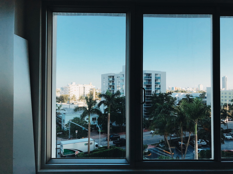 bright, palm tree, day, white, cityscape, nature, outdoors, plant, city, summer, glass - material, city life, skyscraper, happy, built structure, sky, office building exterior