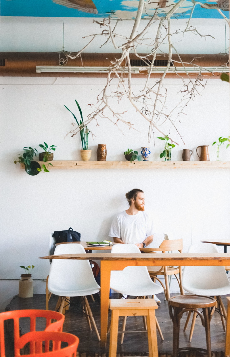 success, green palnt, modern, businesswoman, table, shelving, place of Work, interior, office, person, wainting, professional Occupation, mounted, females