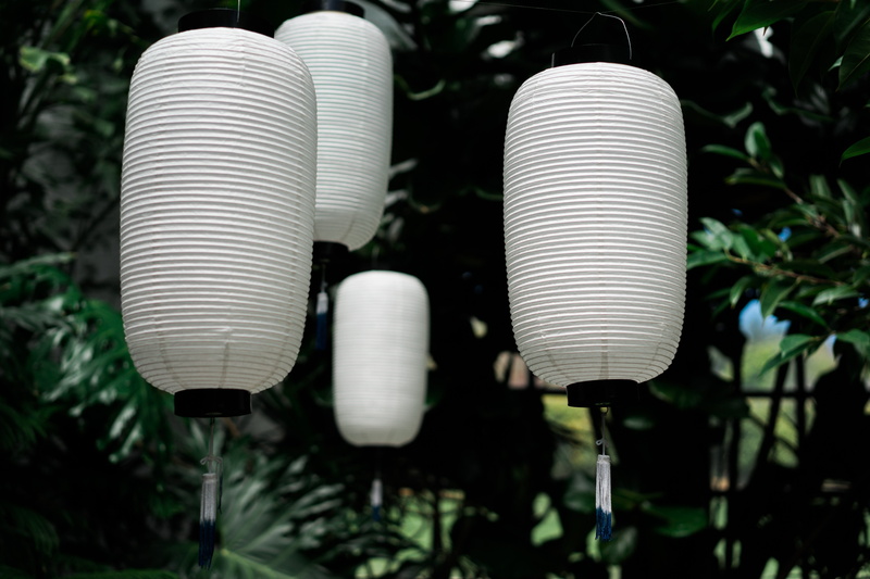 hanging, no people, palnt, day, technology, light bulb, tree, electricity, plant, lantern, pattern, silver colored, growth, sunlight, white color, green