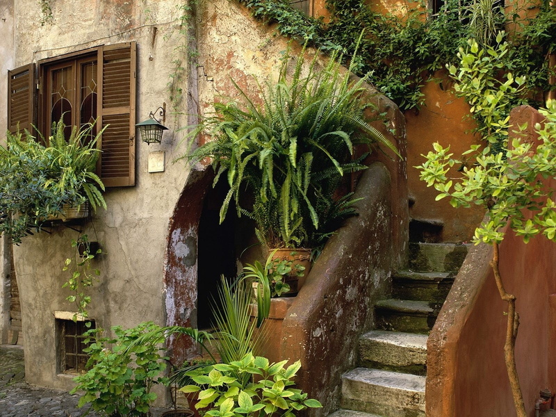 old, outdoors, city, facade, cultures, shutter, green, street, built Structure, architecture, window, summer, village, door, potted plant, house, growth