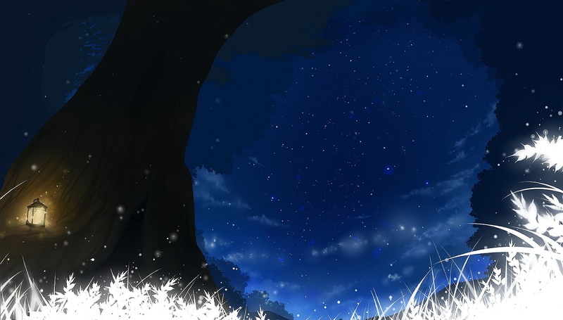 Original, 1080P, Sky, Latern, Grass, Stars, Anime, Night