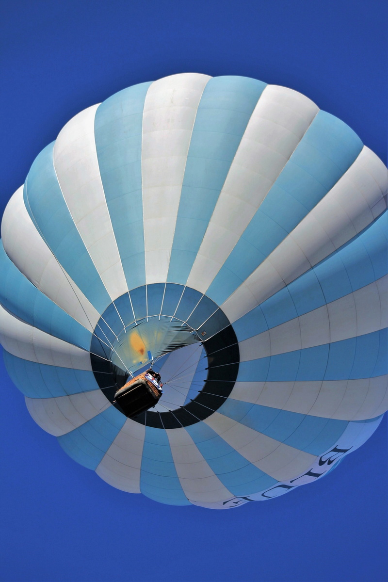 balloons, outdoors, fun, dom, adventure, recreation, low angle view, colors, albuquerque, new mexico, ride, blue sky, 4K, flight, sky, travel, ballooning festival
