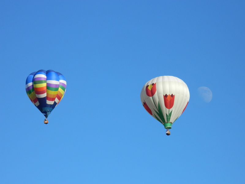 nature, white, flying, copy space, hot air balloons, outdoors, sunny, blue, balloon, low angle view, transport, ballooning festival, ballooning, hot Air Balloon