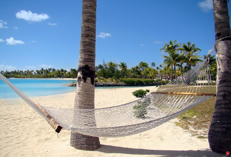 exotic, hammock, ocean, pacific, beach, paradise, lagoon, blue, island, hawaiian, tropical, sand, relax, islands, hawaii, 720P