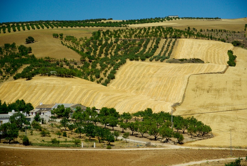 sunlight, tree, 4K, scenics - nature, beauty in nature, spain, rolling landscape, outdoors, high angle view, houses, agriculture, field, nature, landscape