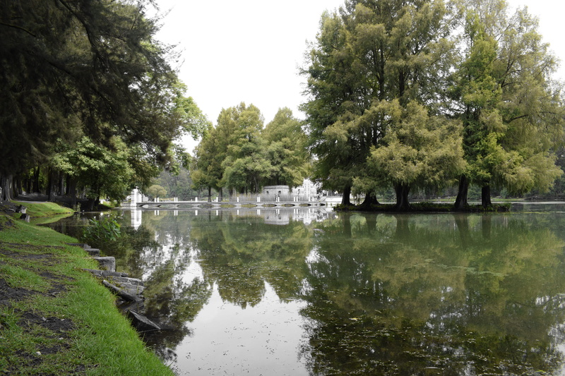 day, reflection, tranquil scene, no people, sky, green, mexico, san lucas el grande, trees, lake, forest, waterfront, green color, plant, 5K, idyllic