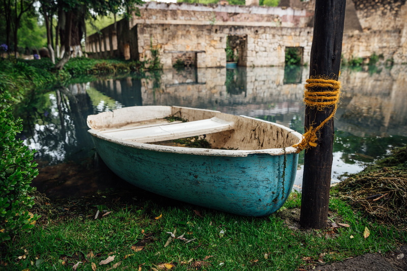 nature, forget, boat, bathtub, rowboat, green, canon6dmarkii, architecture, adventure, abandoned, canon6d, hacienda, miguel, plant, canon, regla, river