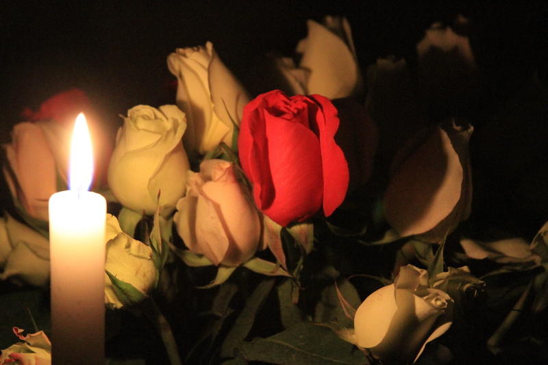 bouquet, petal, flowering plant, rose, red roses, fire - natural phenomenon, close-up, night, flame, candle, burning, 5K, fire, candlelight, white roses