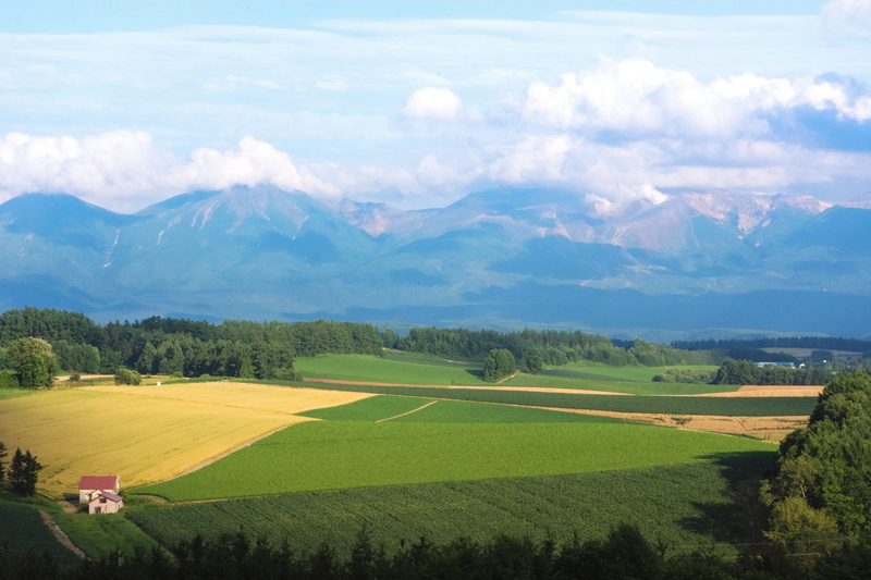 5K, agriculture, cloud - sky, country, farm, tranquility, outdoors, land, nature, tranquil scene, hokkaido, plant, rural scene, japan, scenics - nature