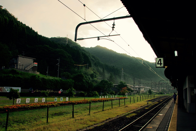 mountain, cable, plant, railroad station platform, tree, day, transportation, outdoors, train, track, nature, 5K, japan, journey, station, mode of transportation