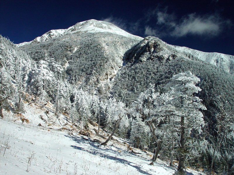 ice, 2K, white color, mountain, pine tree, snowcapped mountain, nature, forest, plant, sky, snow, coniferous tree, scenics - nature, country, outside