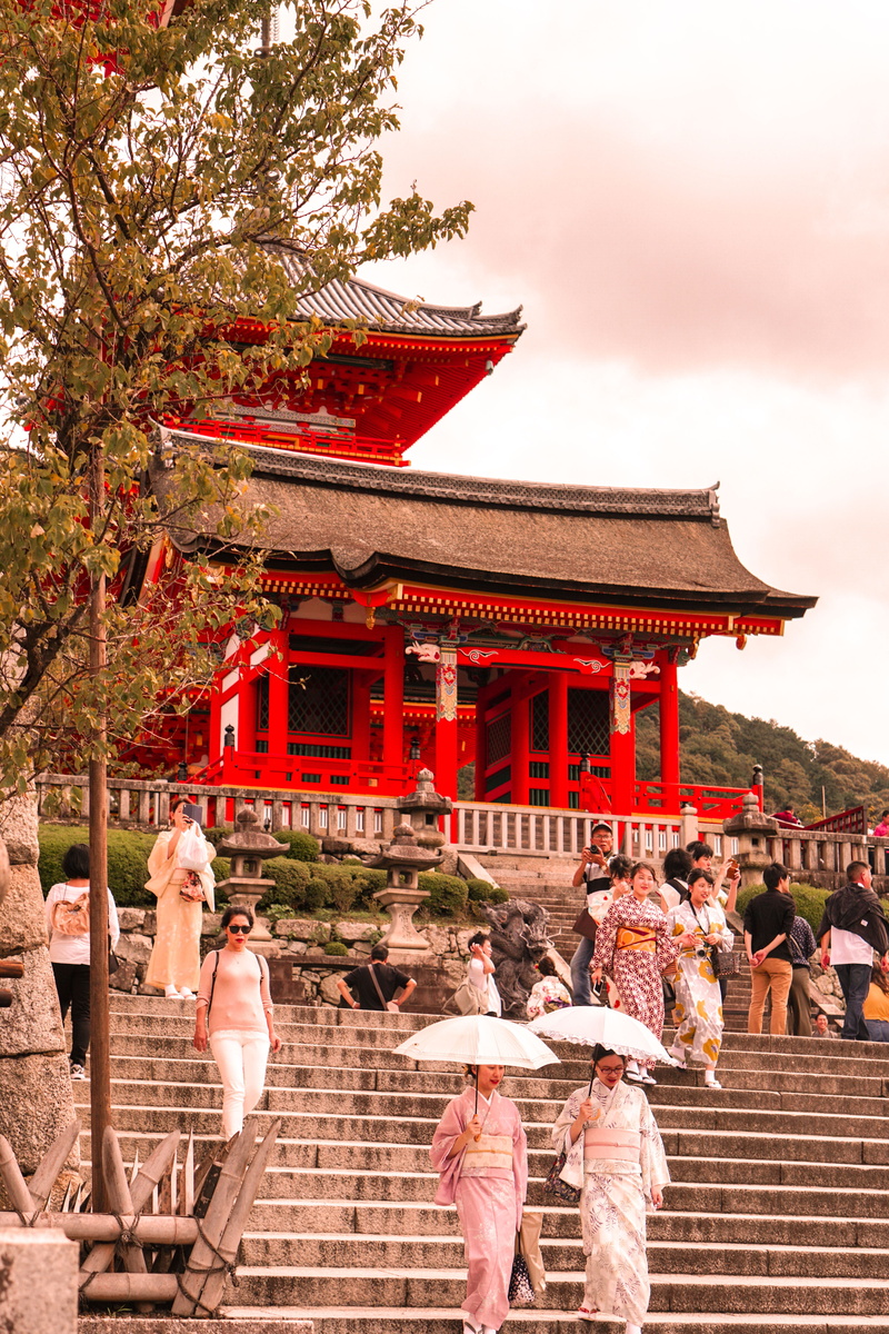 camera, place of worship, building, japan, nature, walking, tree, temple, building exterior, group of people, real people, shrine, day, architecture, religion