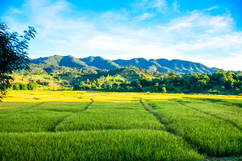 plateau, peasant land, no people, place, parcel, beauty in nature, tranquil scene, scenics - nature, environment, the landscape, agriculture, cloud - sky