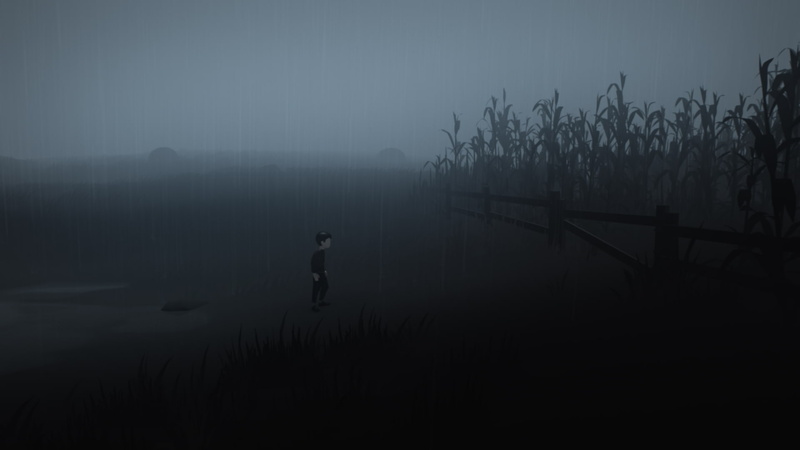 Inside, Video Game, Inside (Video Game), Cornfield, 1080P, Rain, Fence