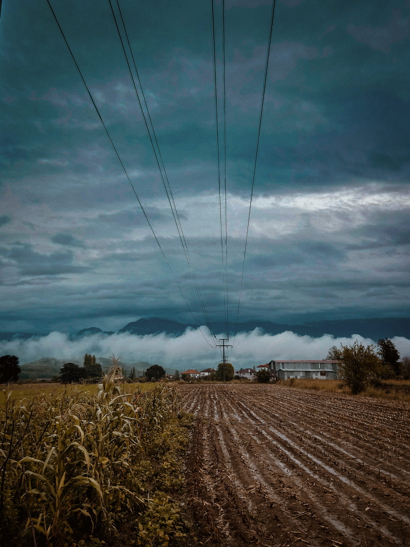 cable, daylight, houses, field, plain, near, country, electricity, agriculture, beauty in nature, cornfield, countryside, land, cropland, clouds, environment