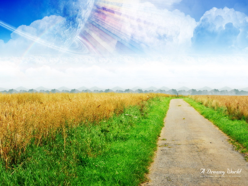 green, cornfield, hd, yellow, fantasy, world, 720P, dreamy, path