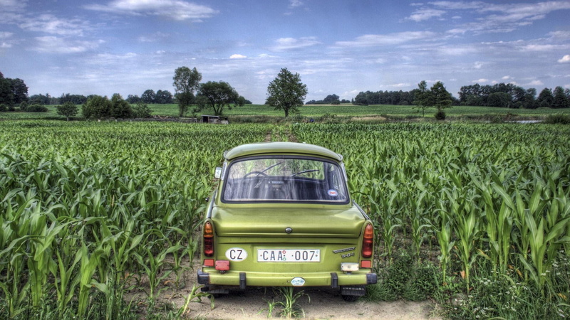 eastern european, plant, vintage car, nature, land, land vehicle, growth, farm, cereal plant, corn - crop, food, rural area, scenics - nature, transportation