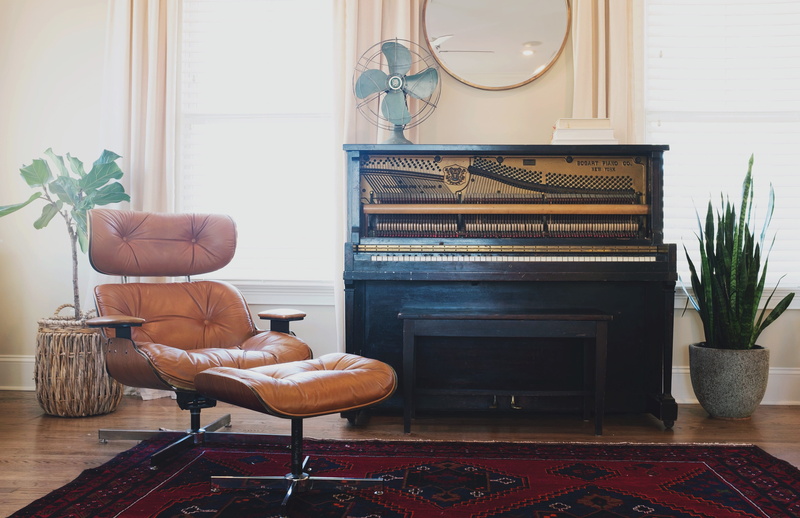fan, home showcase interior, light, white, house, indoors, interior, home, one person, coffee table, plant, near, furniture, room, leather, domestic life