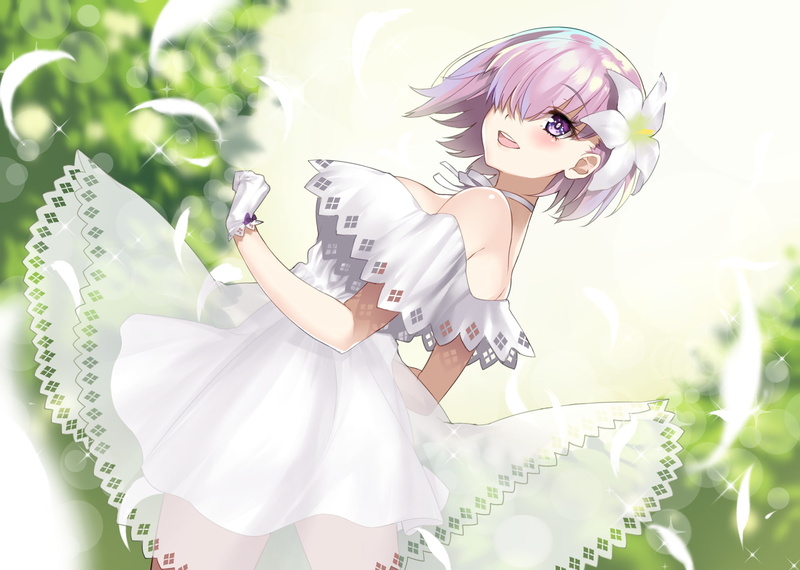 Shielder (Fate/Grand Order), 1080P, Fate/Grand Order, Fate Series