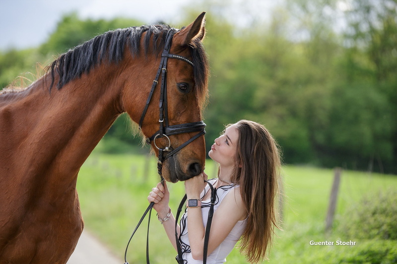 young adult, animal wildlife, domestic, horse, nature, herbivorous, adult, brown, hairstyle, grass, positive emotion, riding, women, model, 1080P, mammal