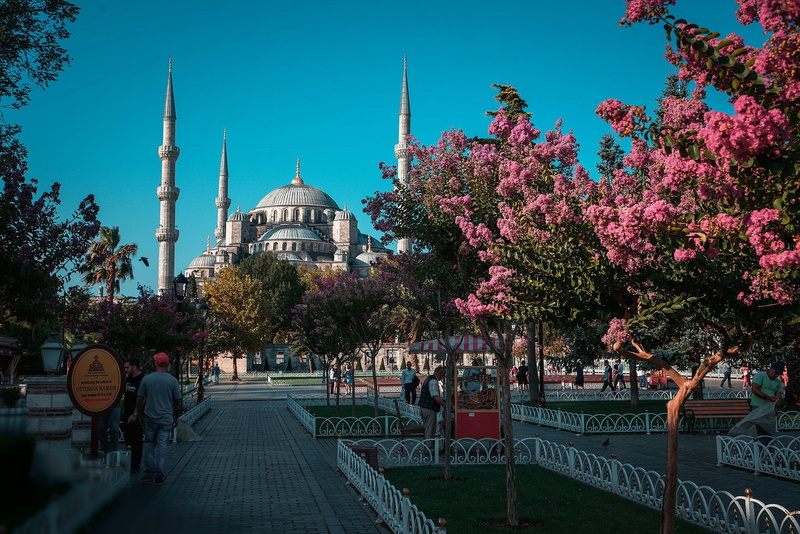 Park, flowering trees, Turkey, Istanbul, 1080P, Daria Klepikova