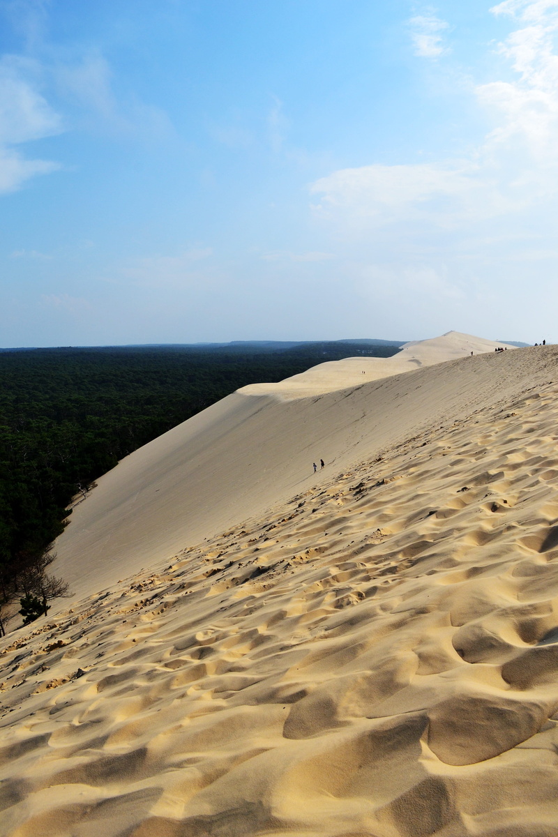 land, southwest, 4K, beach, scenics - nature, beauty in nature, Pilat, aquitaine, climate, tranquility, sea, idyllic, remote, nature, Sand, pilat dune