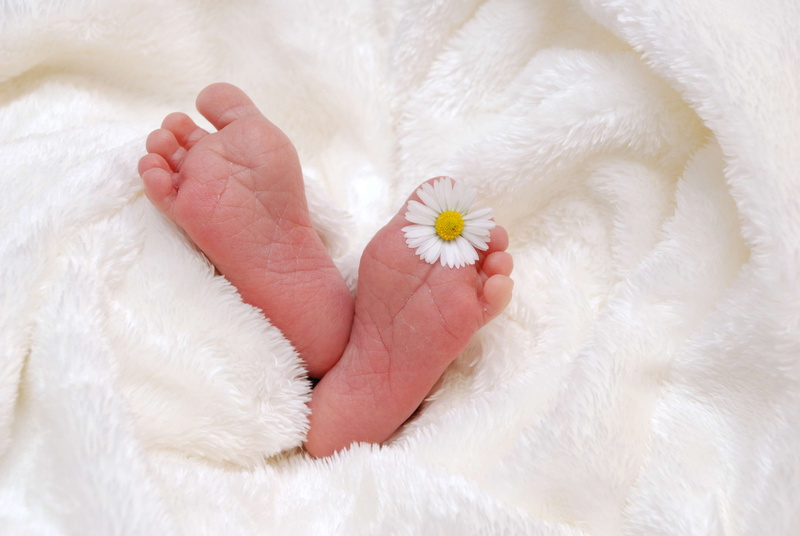 close-up, babyhood, flower, feet, cute, life, blanket, relaxation, real people, one person, baby, fragility, fur, barefoot, human toe, indoors, body part