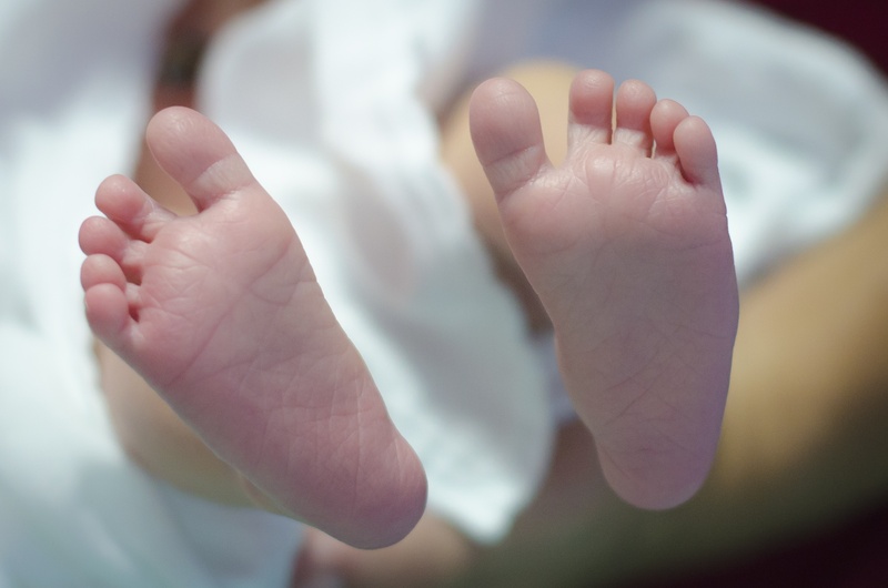 baby, new born, human body part, new life, new baby, low section, newborn, human Hand, feet, kid, human toe, innocence, human foot, softness, body part