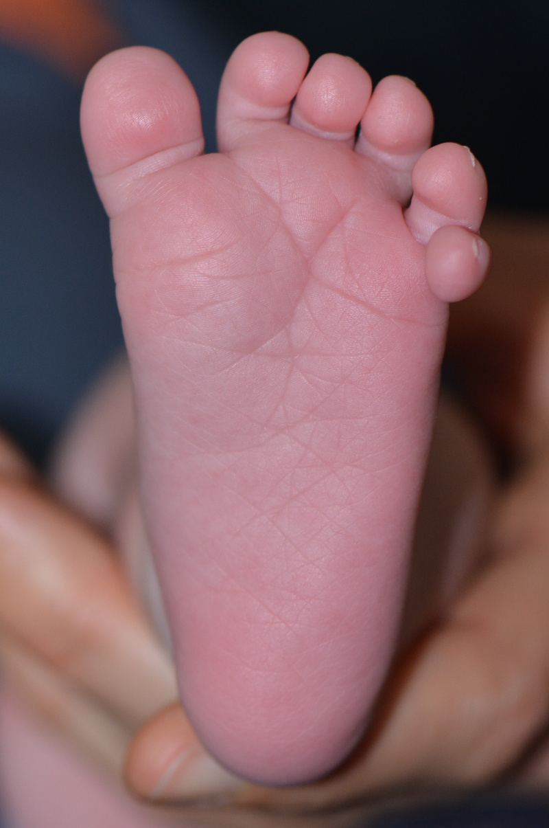 young, child, babyhood, human body part, baby foot, foot, human toe, indoors, finger, human leg, barefoot, body part, 4K, innocence, human hand, softness