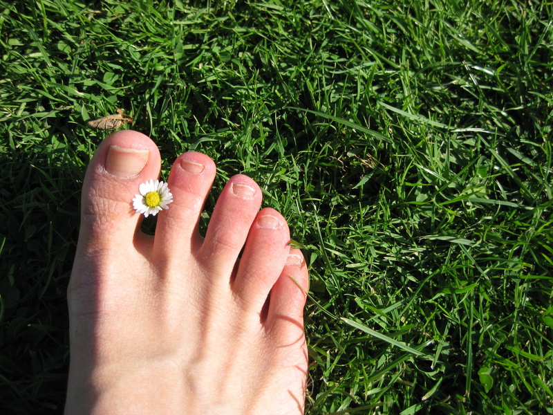foot, high angle view, 2K, adult, field, human, human foot, one person, day, toenail, human hand, nail, green, human finger, daisy, land, personal perspective