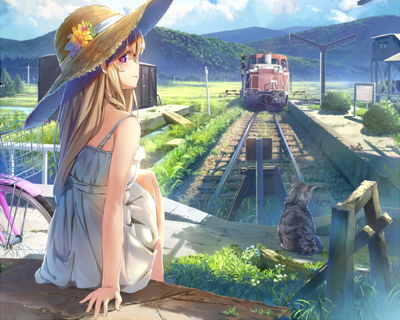 straw hat, train, anime girls, purple eyes, blonde, cat, 720P