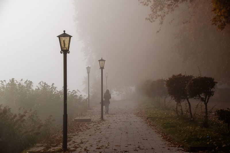 mysterious, landscape, greece, tranquility, composing, no people, fog, tranquil scene, sky, 5K, fairytale, magic, park, the way forward, forest, tree