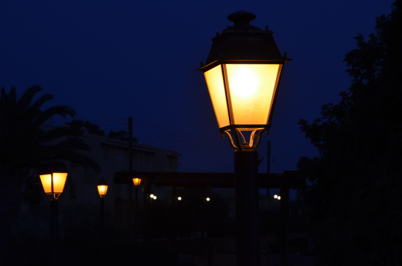 mystical, lantern, tree, dusk, night, evening, low angle view, sky, abendstimmung, plant, night sky, electricity, city, light - natural phenomenon, street lamp