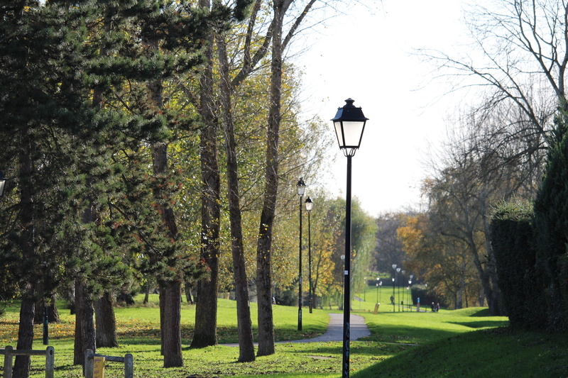tranquility, no people, nature, outdoors, street, beauty in nature, promenade, light, gas light, 5K, day, grass, green color, growth, street light, lighting equipment